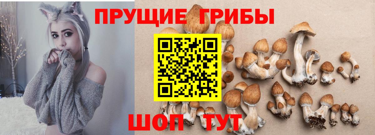 Псилоцибиновые грибы Cubensis  Галлюциногенные грибы Magic Shrooms  Вход с VPN  Кингисепп 